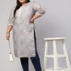 Plus Size Grey Mirror Work Straight Printed Kurta